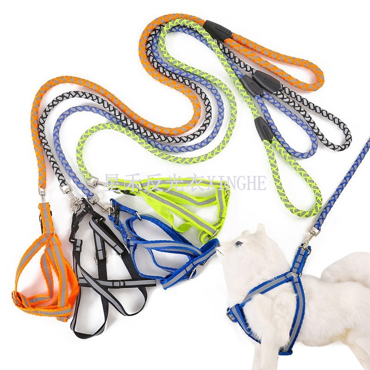 Reflektif bèt kay chen laisse